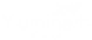 Desenvolvimento de Pessoas e Organizações